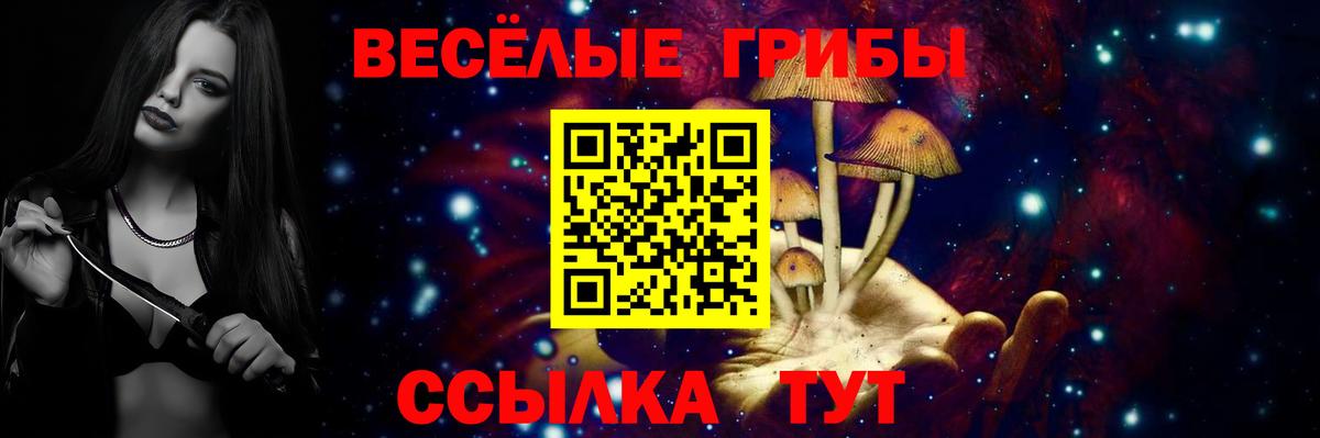 Ипатово  Псилоцибиновые грибы GOLDEN TEACHER  Вход с VPN  Галлюциногенные грибы мицелий 